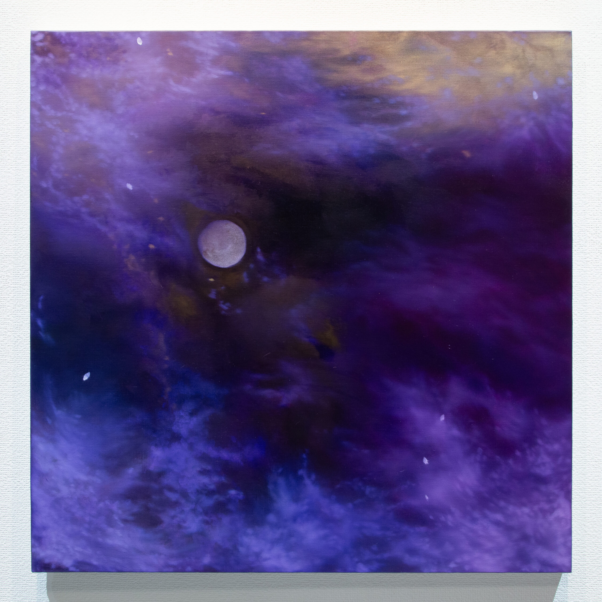 保護中: 「白月の静寂」