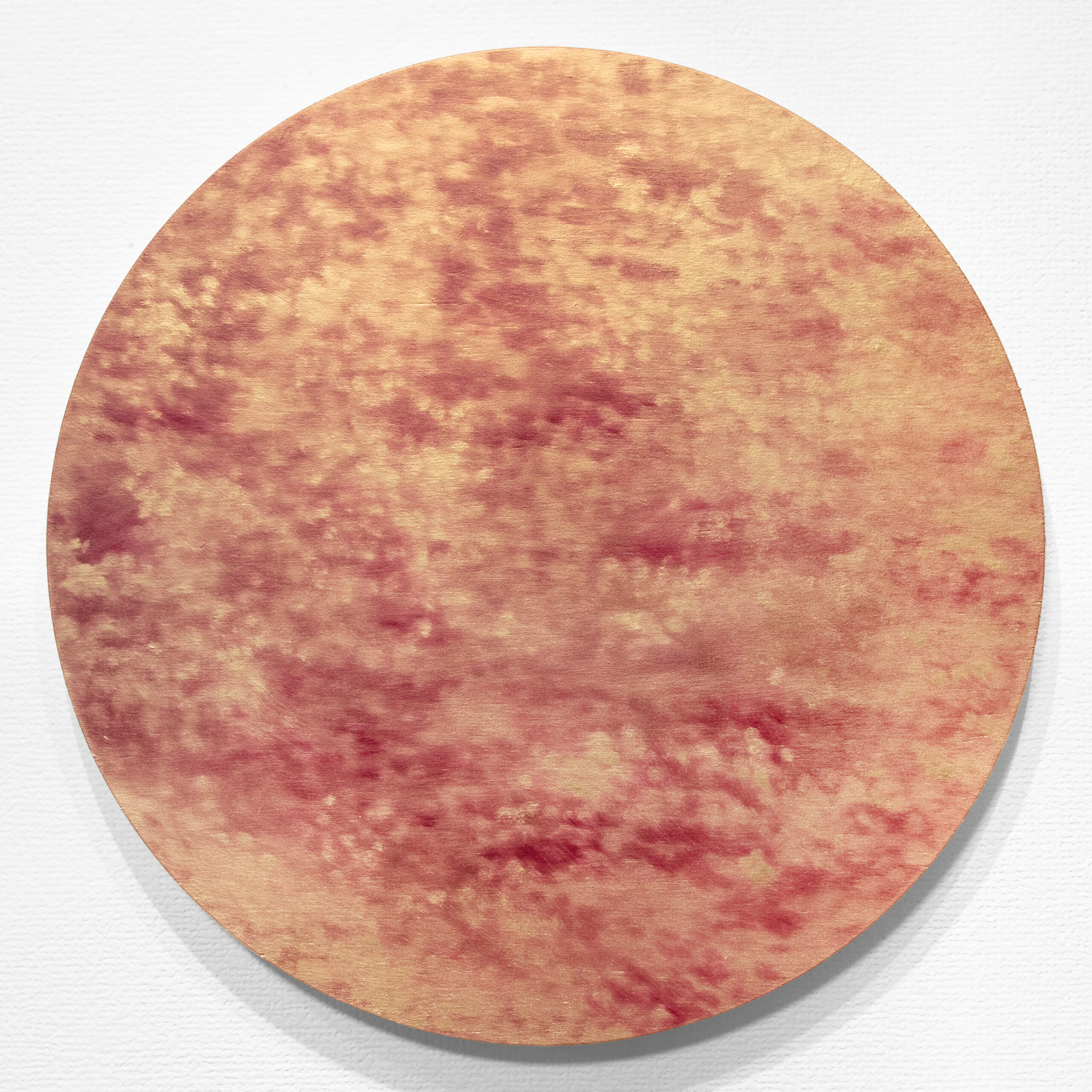 保護中: 「艶陽と涙」