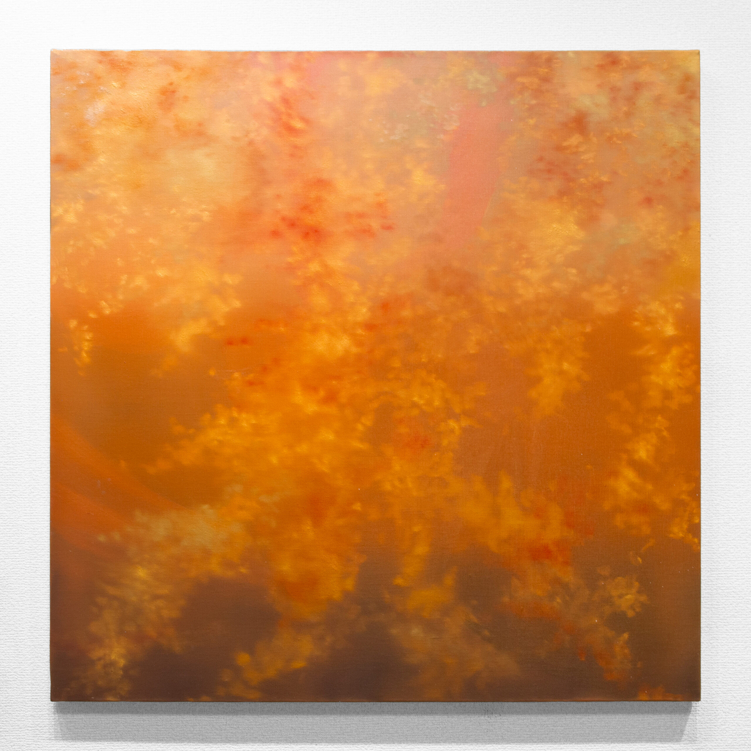 保護中: 「秋麗」