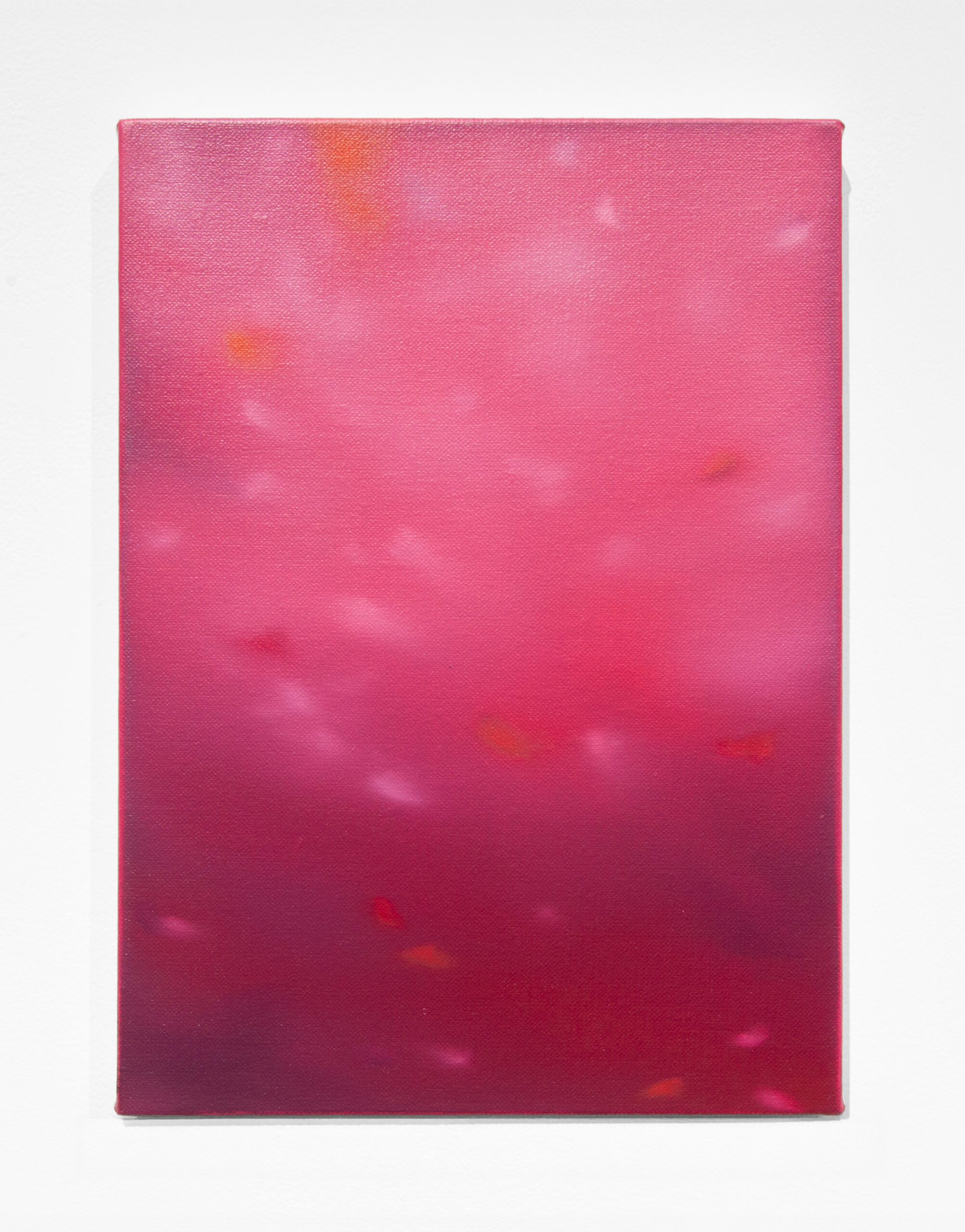 保護中: 「空色映えて」