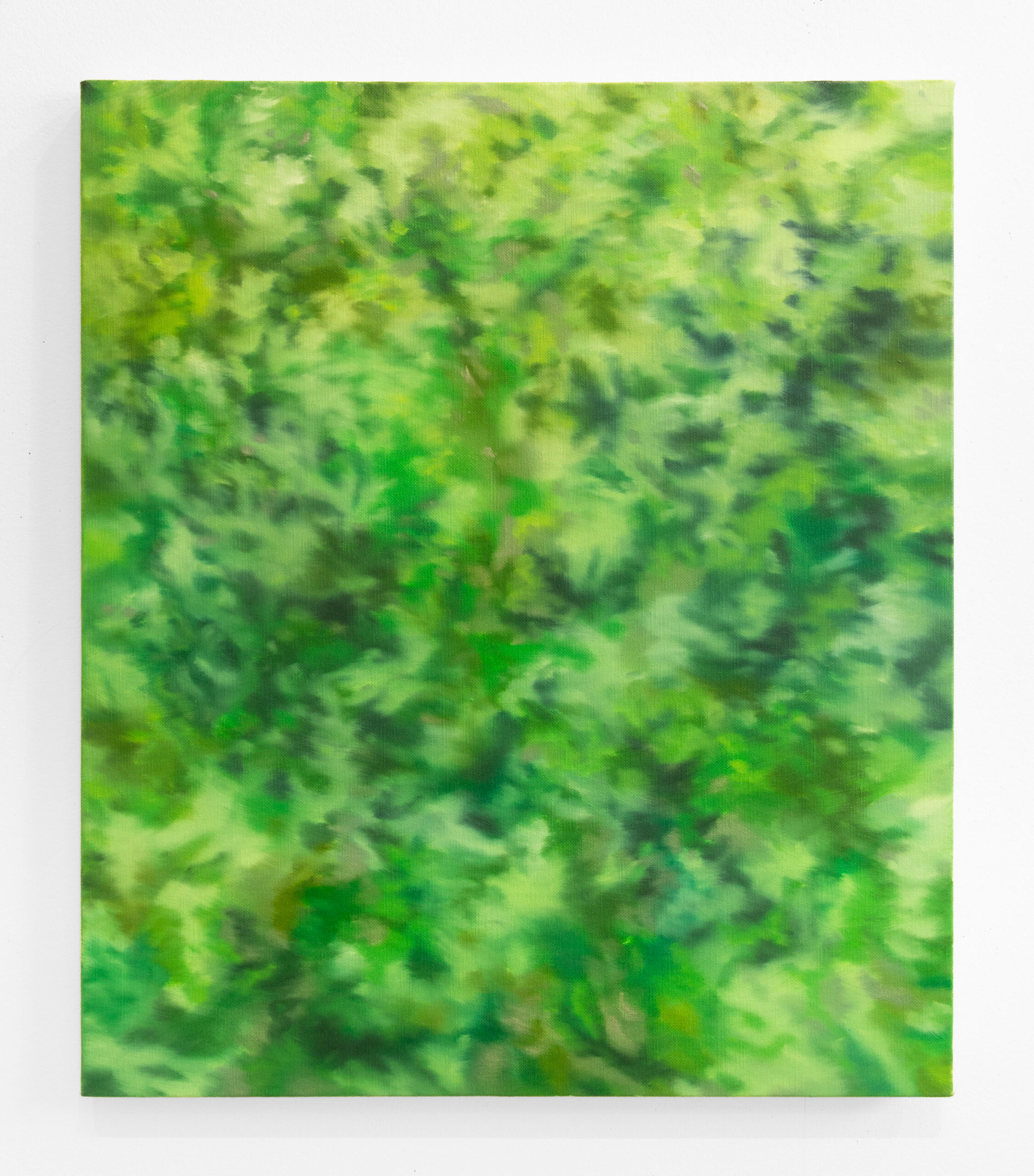 保護中: 「古多万(こだま) II」