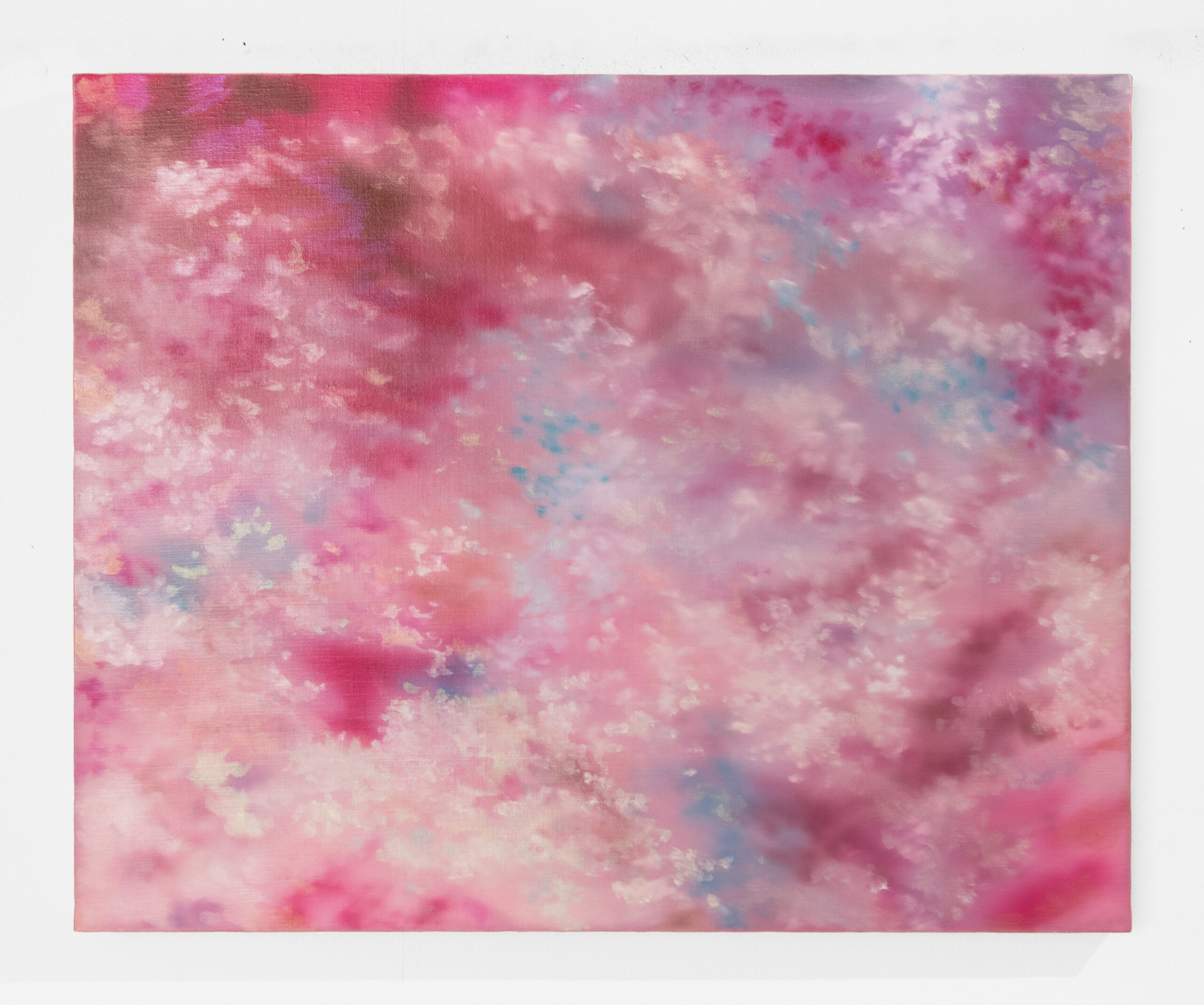 保護中: 「麗風」