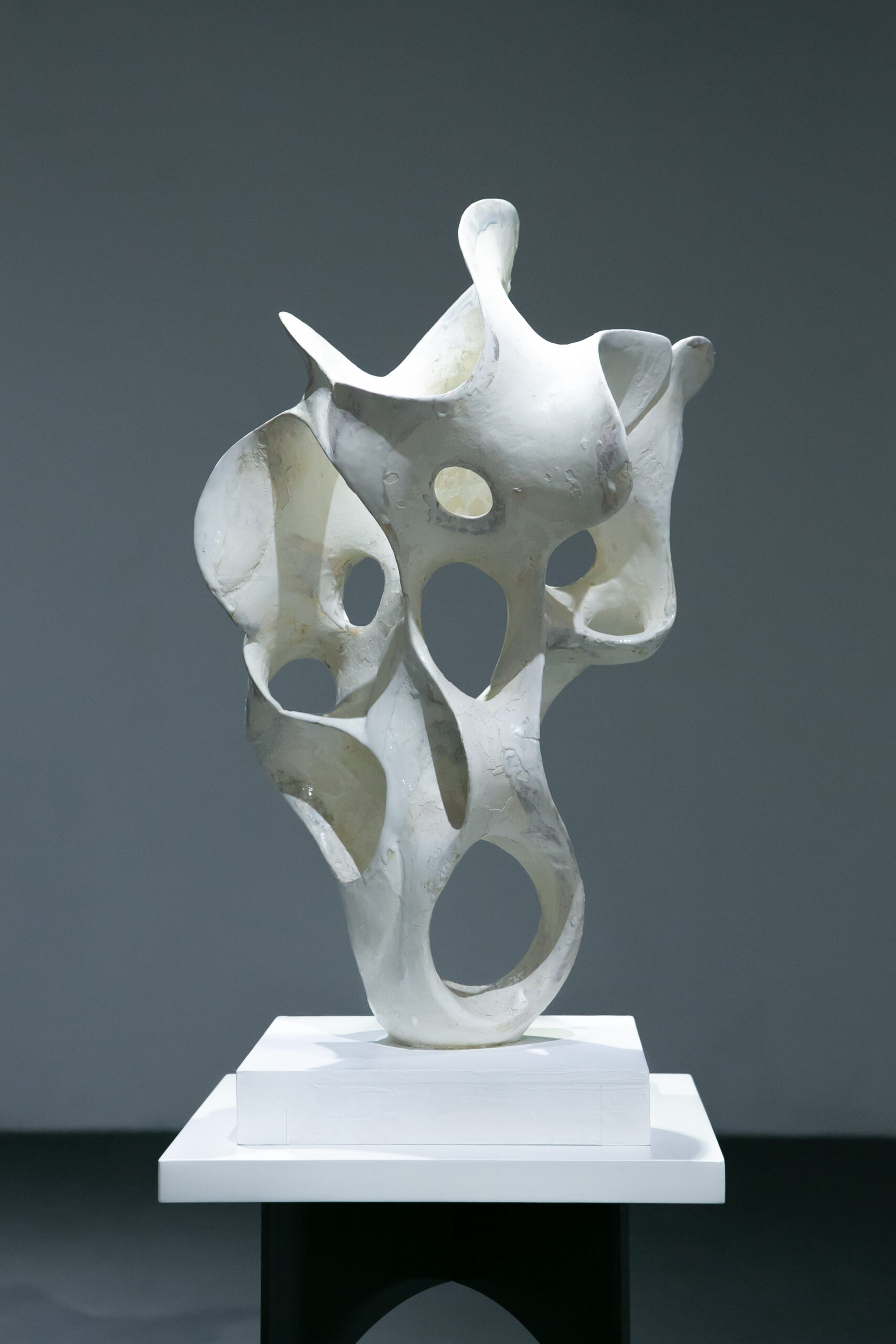 保護中: 「Flowing Shape Ⅱ」