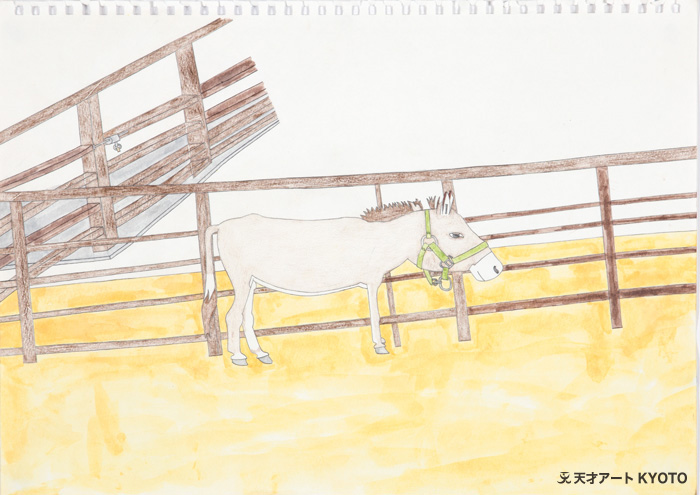 保護中: 「京都市動物園-ろば」