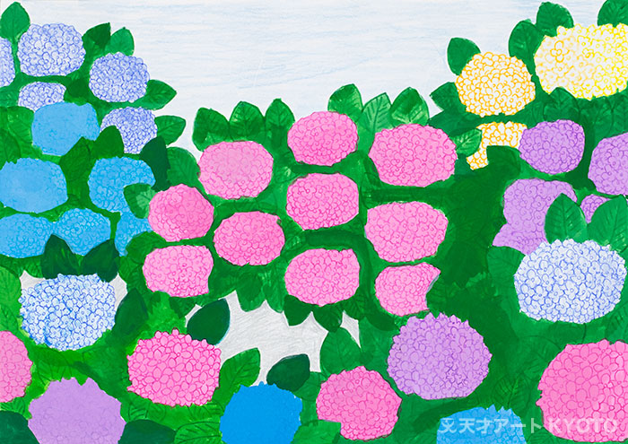 Protected: 「（あじさい）アジサイ紫陽花」