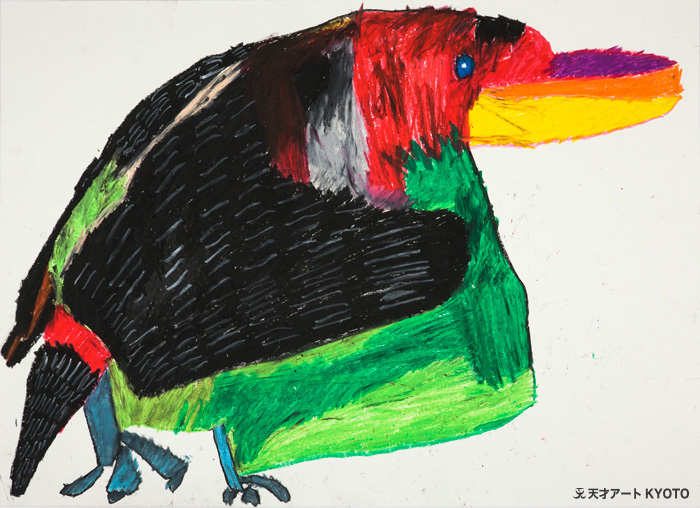 保護中: 「ハアカオナガゴシキドリ」